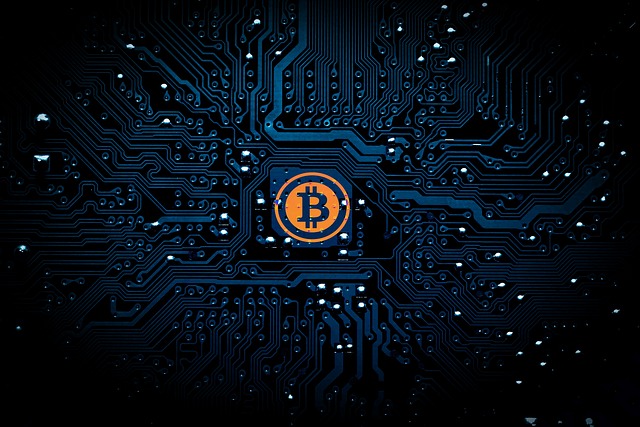 Block Inc. meldet steigendes Bitcoin-Bewusstsein